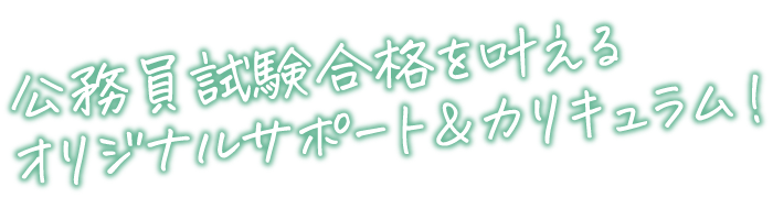 公務員試験合格を叶えるオリジナルサポート＆カリキュラム！